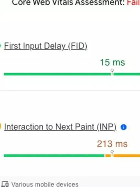 Google Core Web Vitals Assessment
